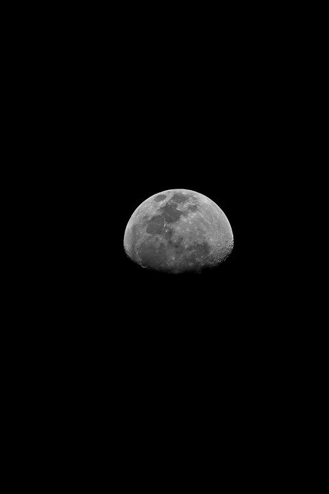 Gibbous Moon in Night Sky