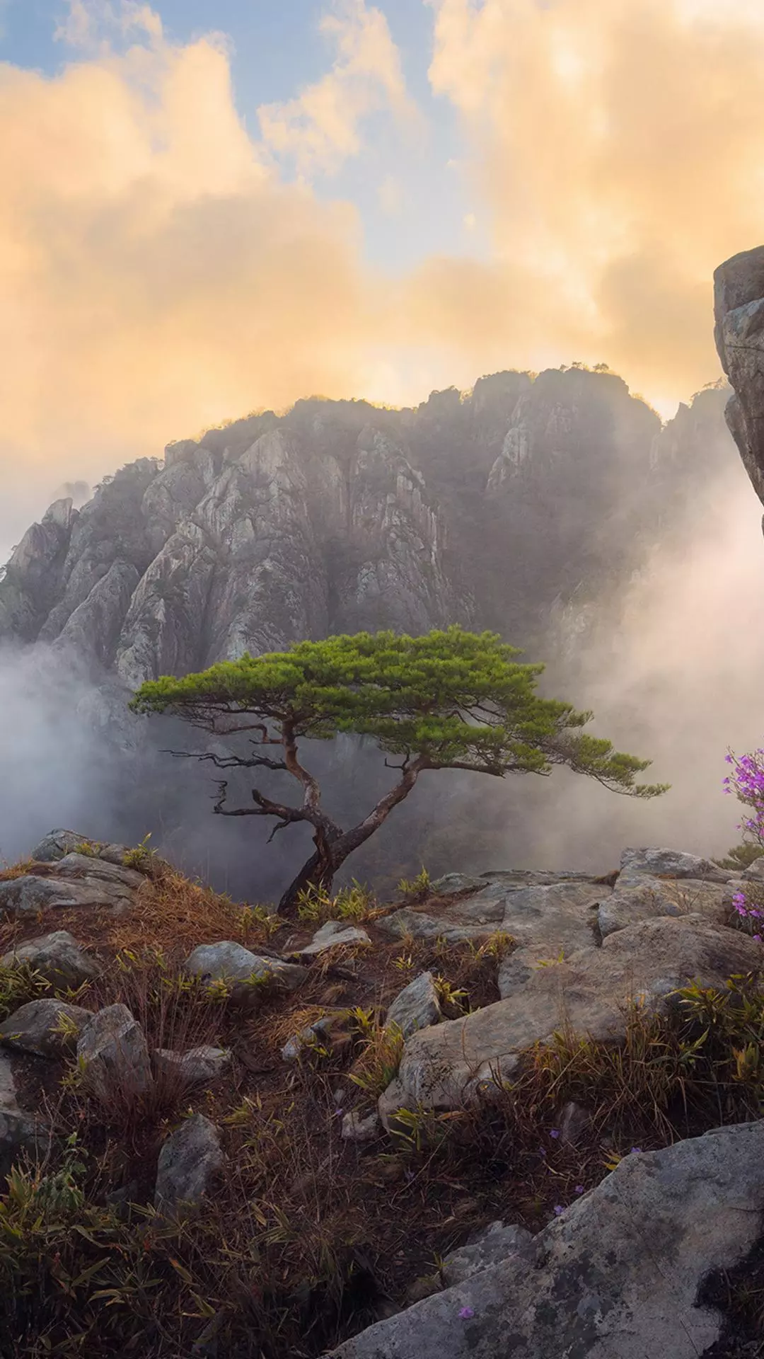 Landscapes