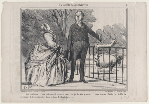 French Acclimation Society Caricature