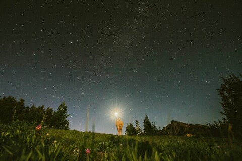 Person Holding Light Under Starry Sky
