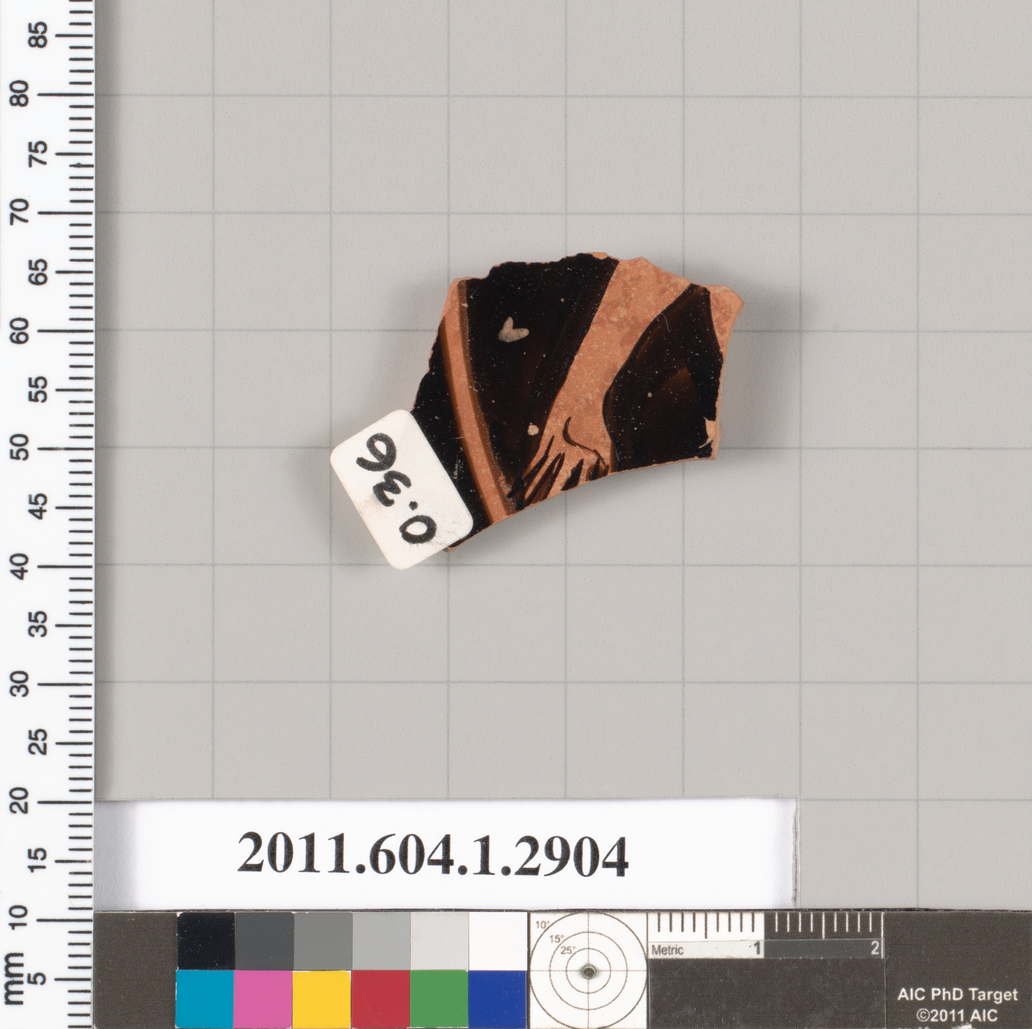 Pottery Shard Artifact with Measurement Scale