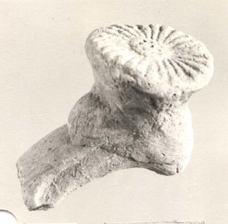 Ancient Terracotta Handle Fragment