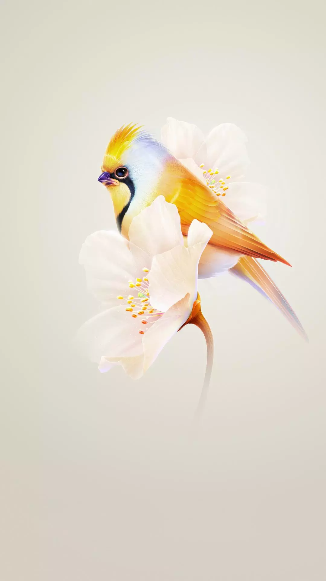 Wallpapers