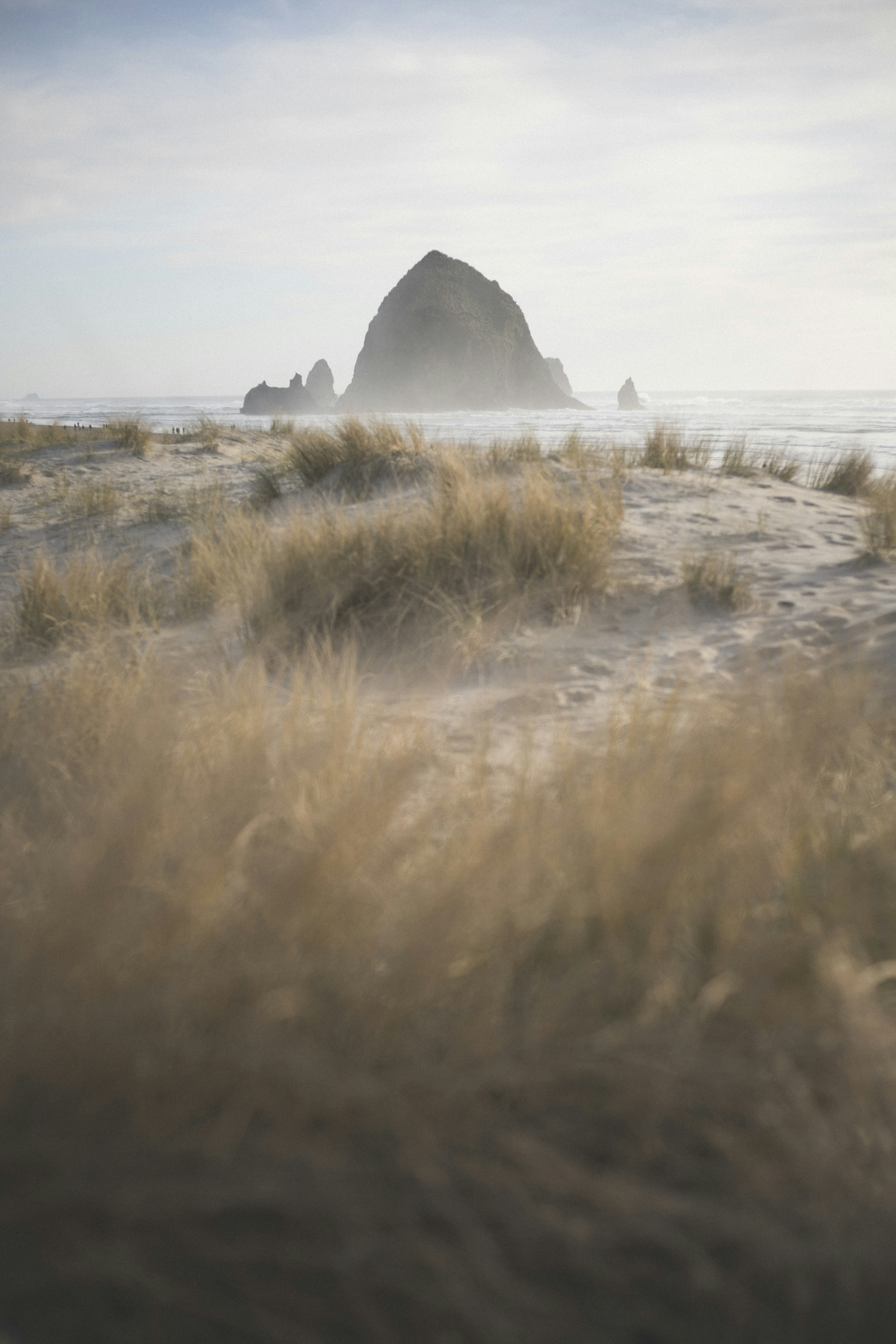 Haystack Rock from Beach Dunes