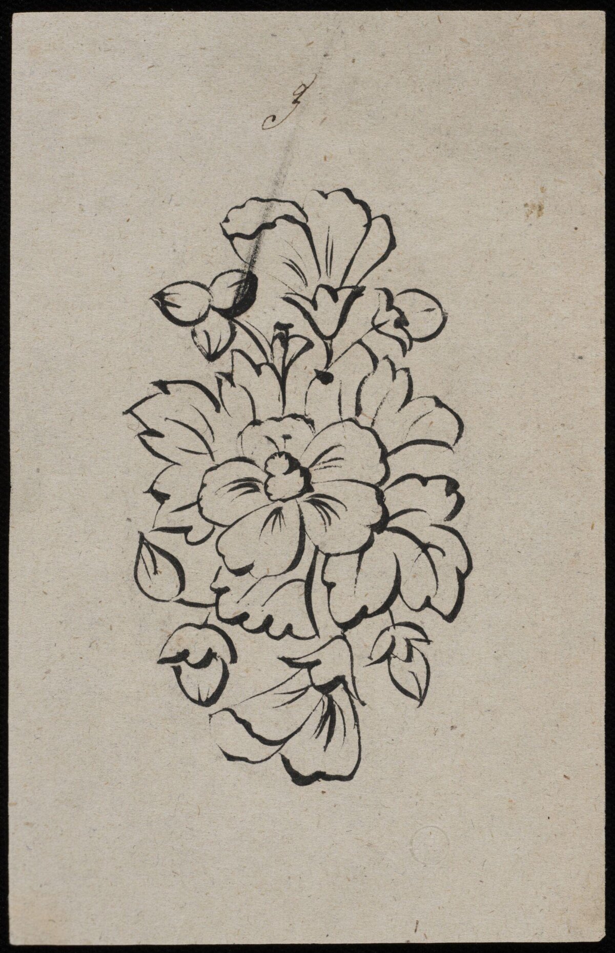 Ink Sketch of Flower Cluster