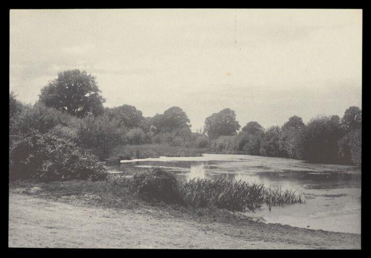 Vintage Countryside Pond View