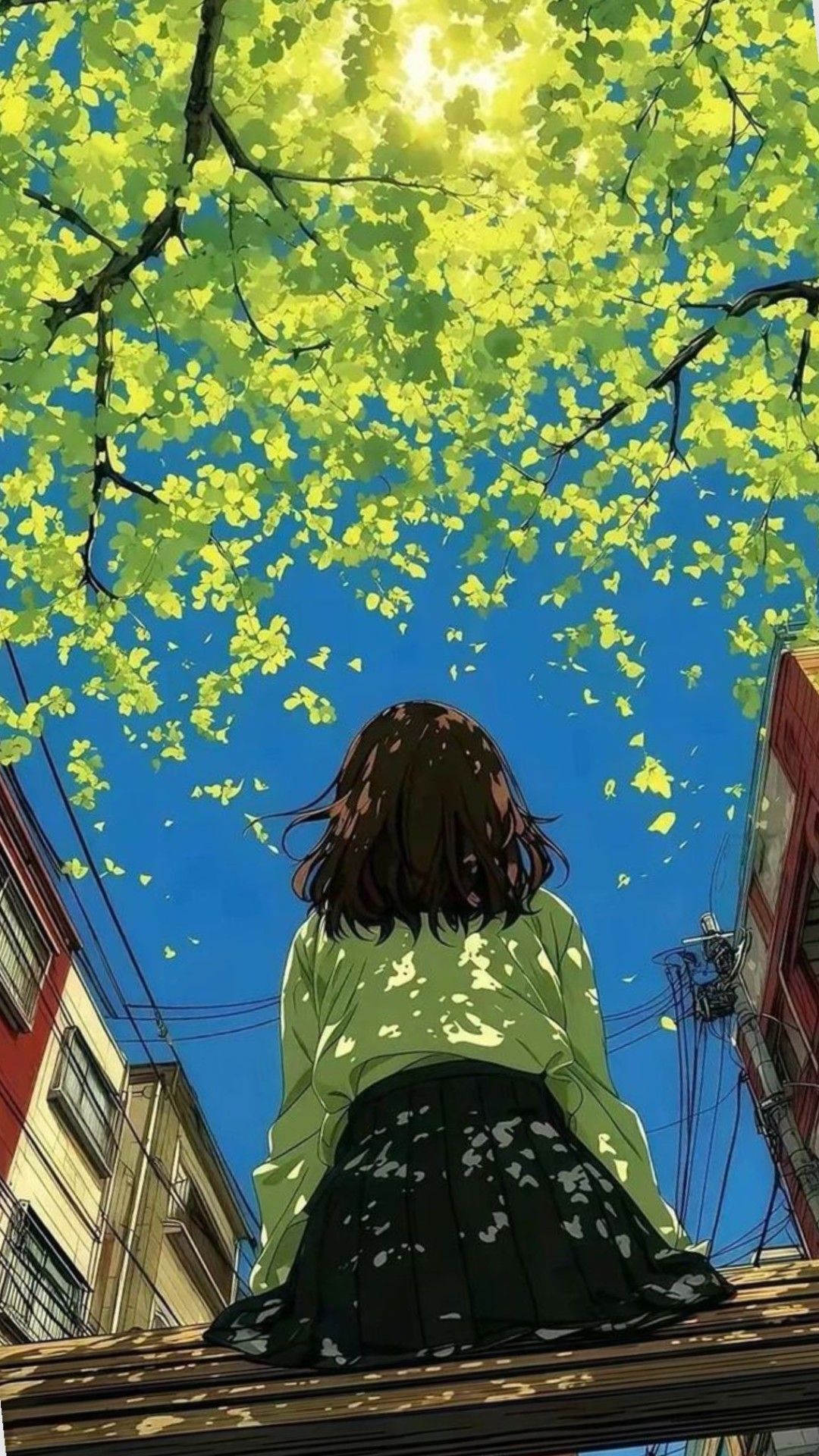 Wallpapers