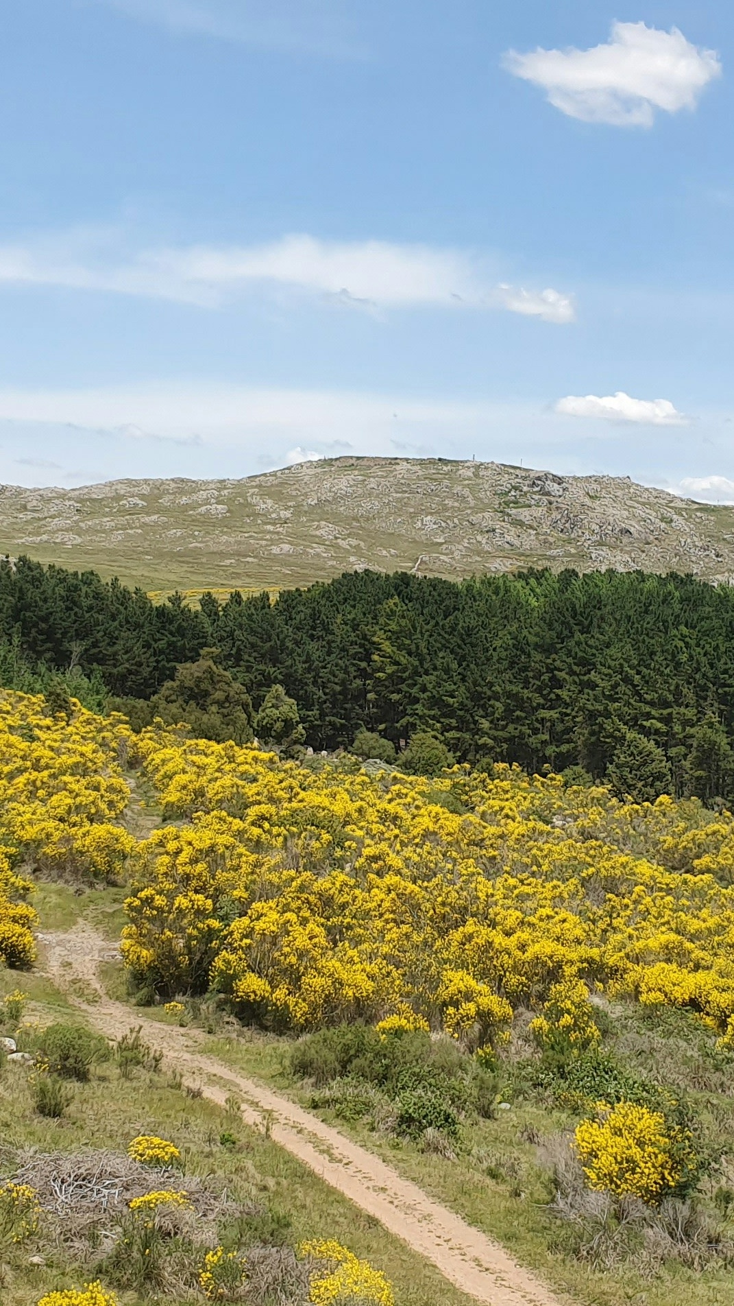 Image 1564037 — Nature