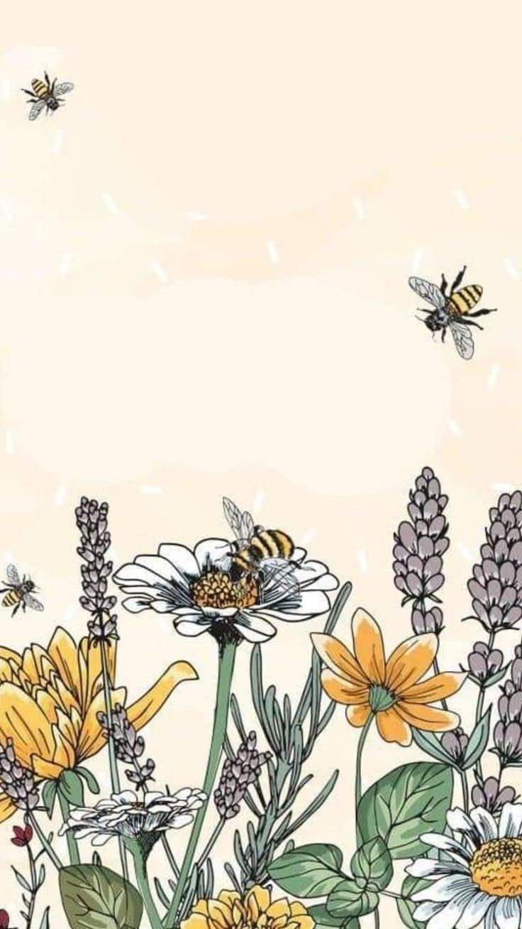 Wallpapers