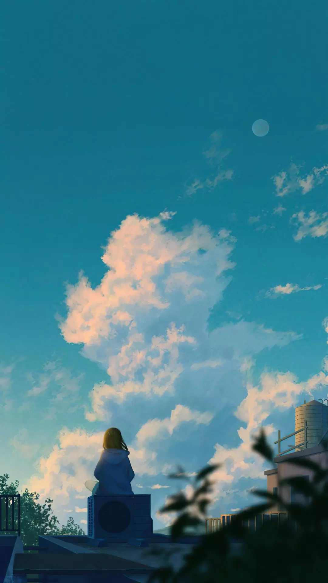 Wallpapers