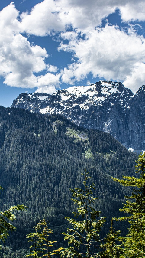 Snow Capped Mountain Forest Landscape