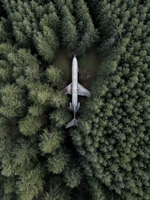 Abandoned Plane in Dense Forest
