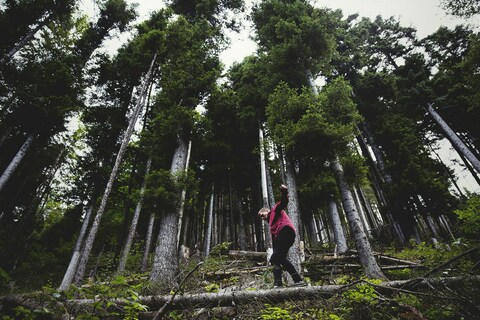 Hiker Balancing on Log in Forest