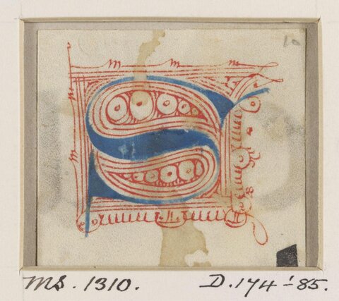 Medieval Illuminated Initial S Fragment