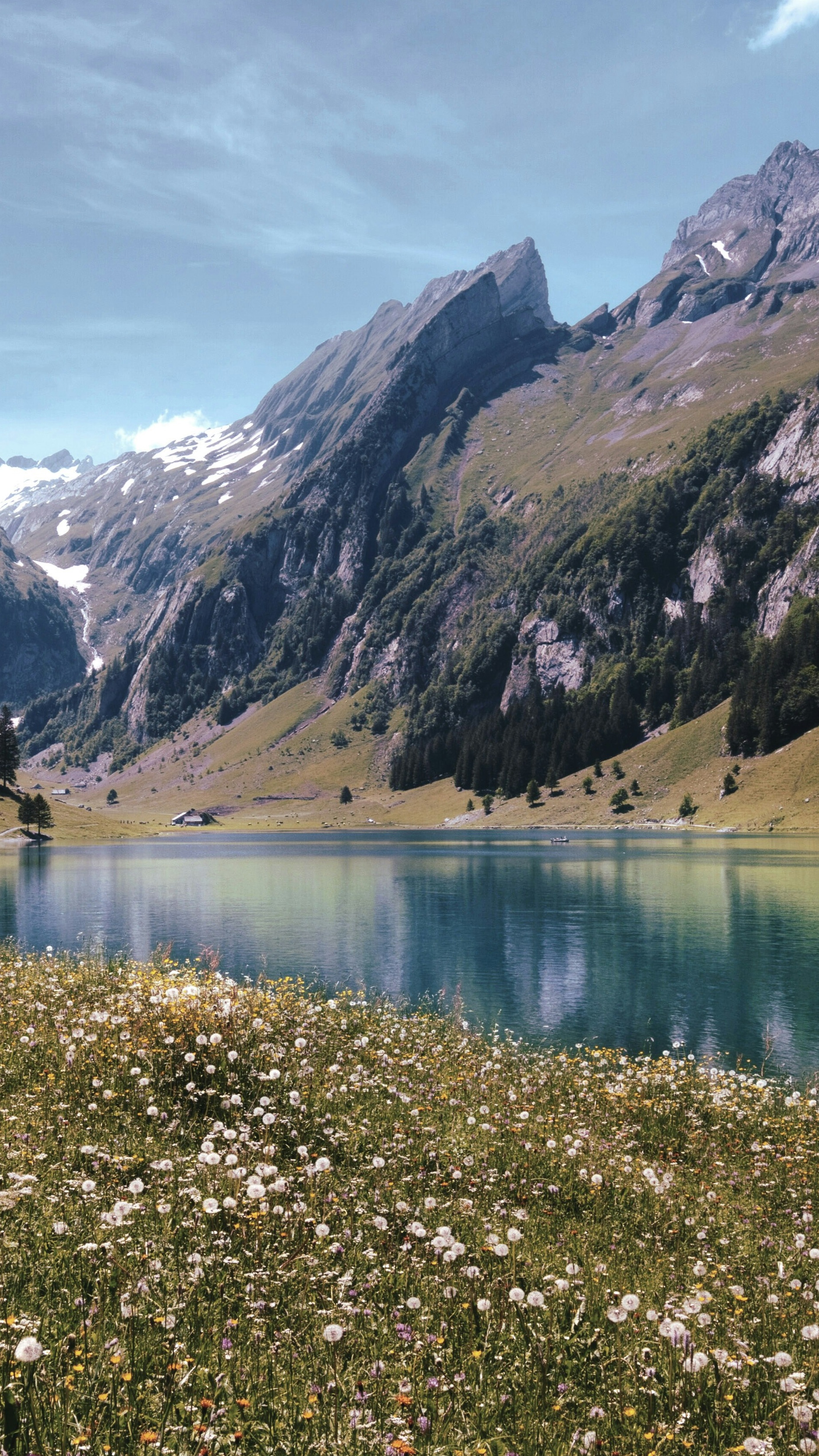 Landscapes