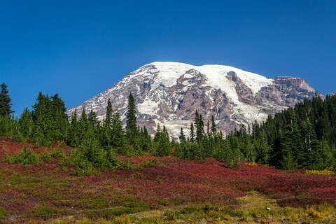 Mount Rainier Autumn Landscape