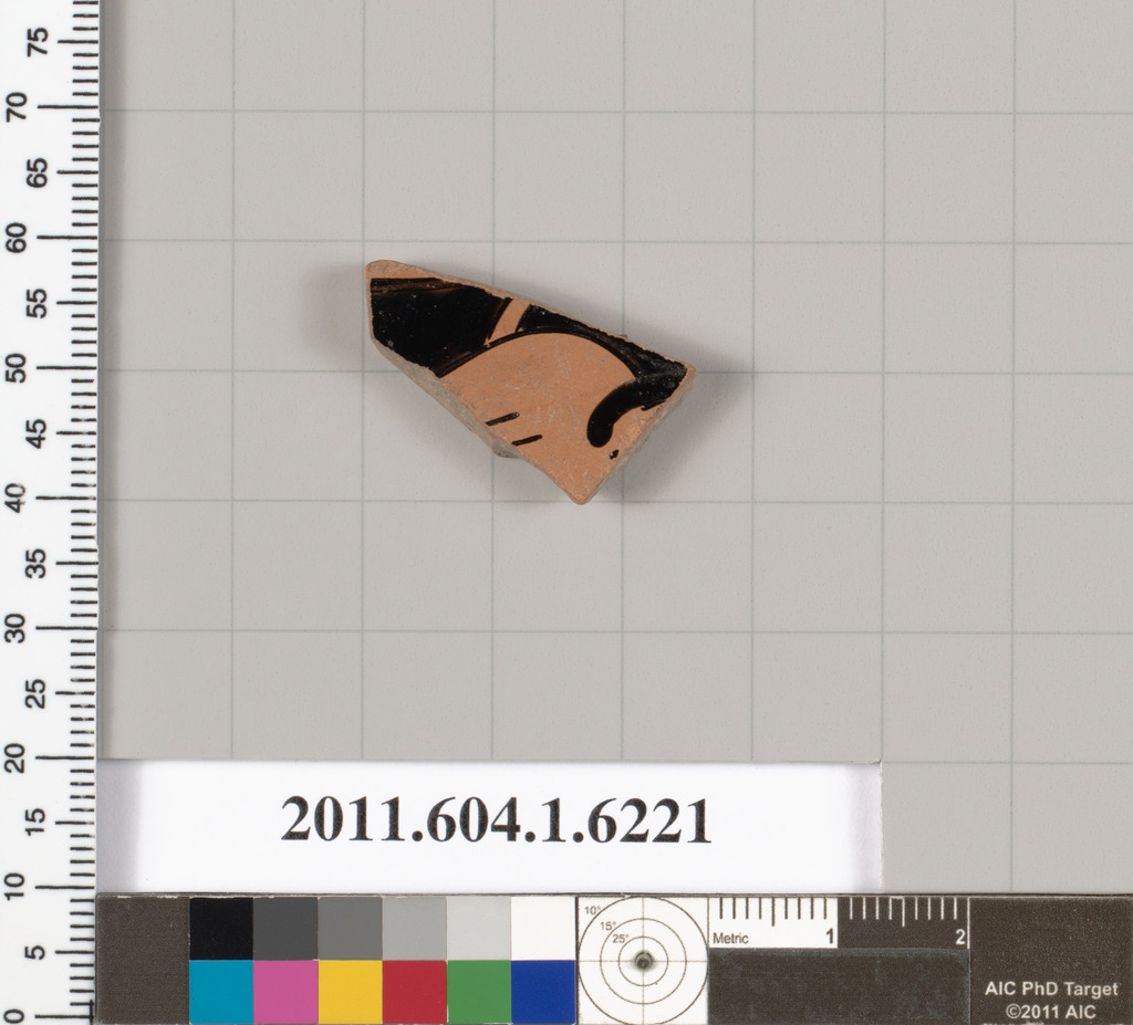 Ancient Pottery Shard Specimen