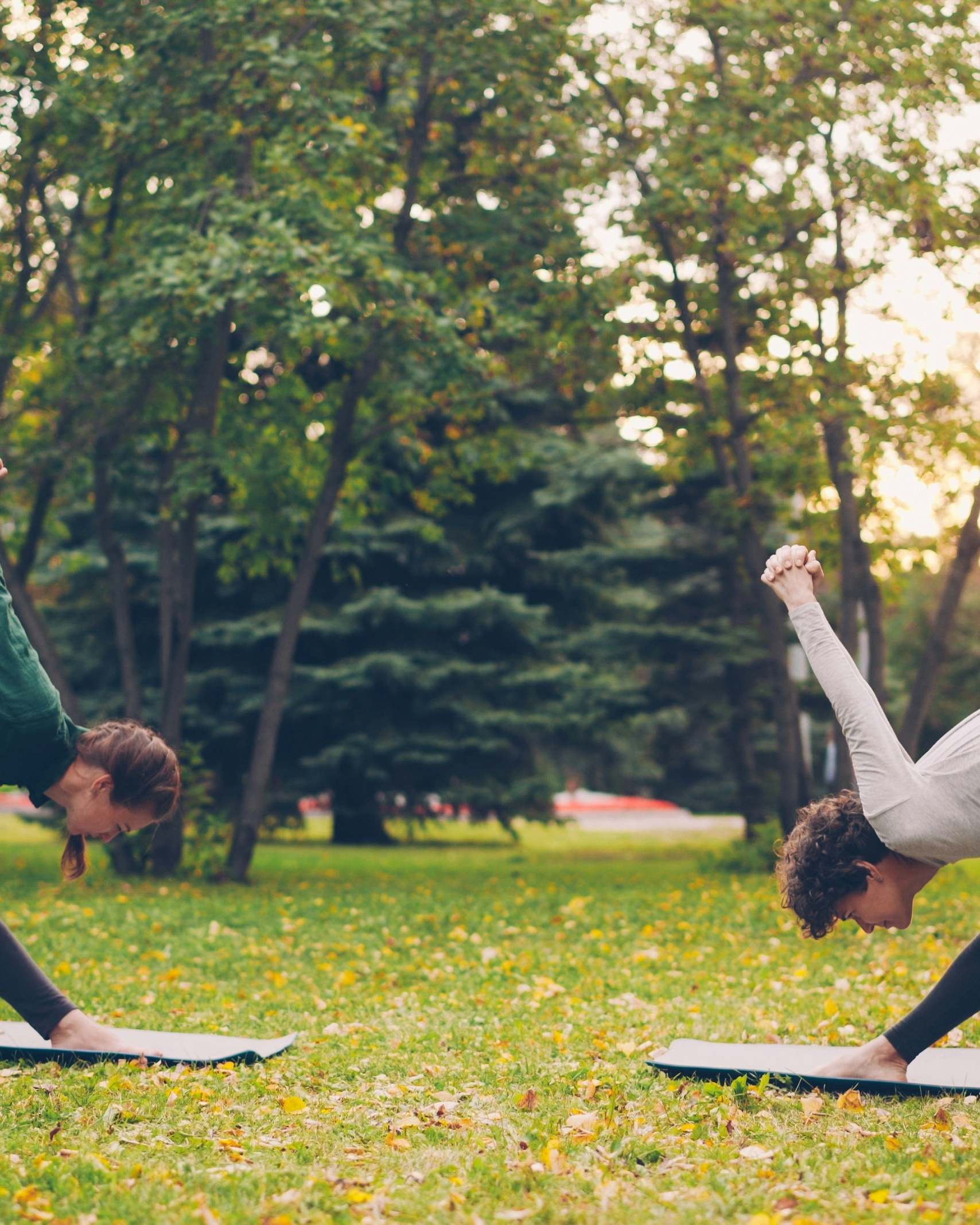 Two People Doing Yoga in Park