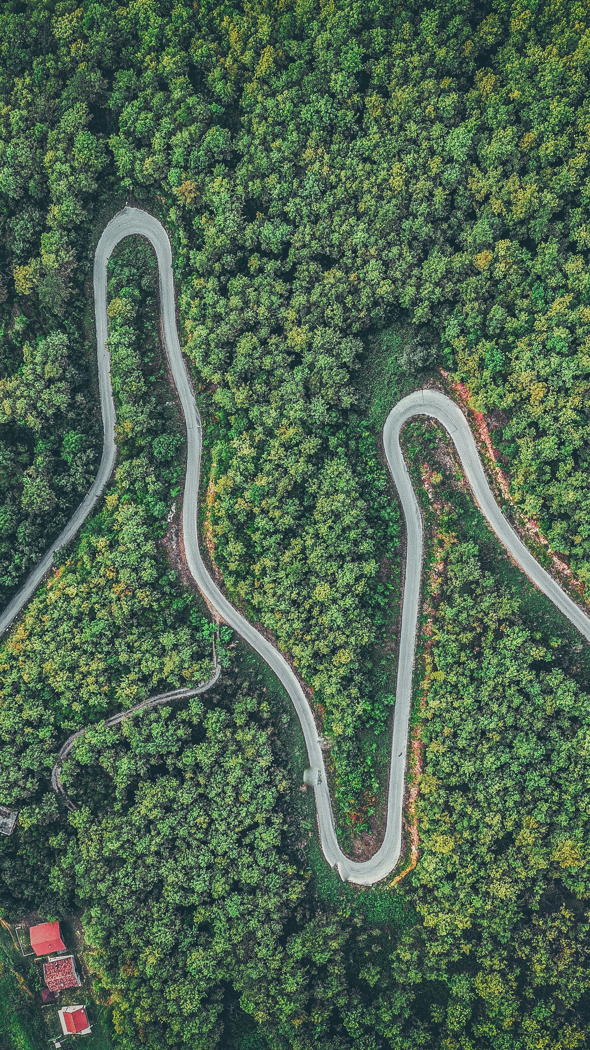 Wallpapers