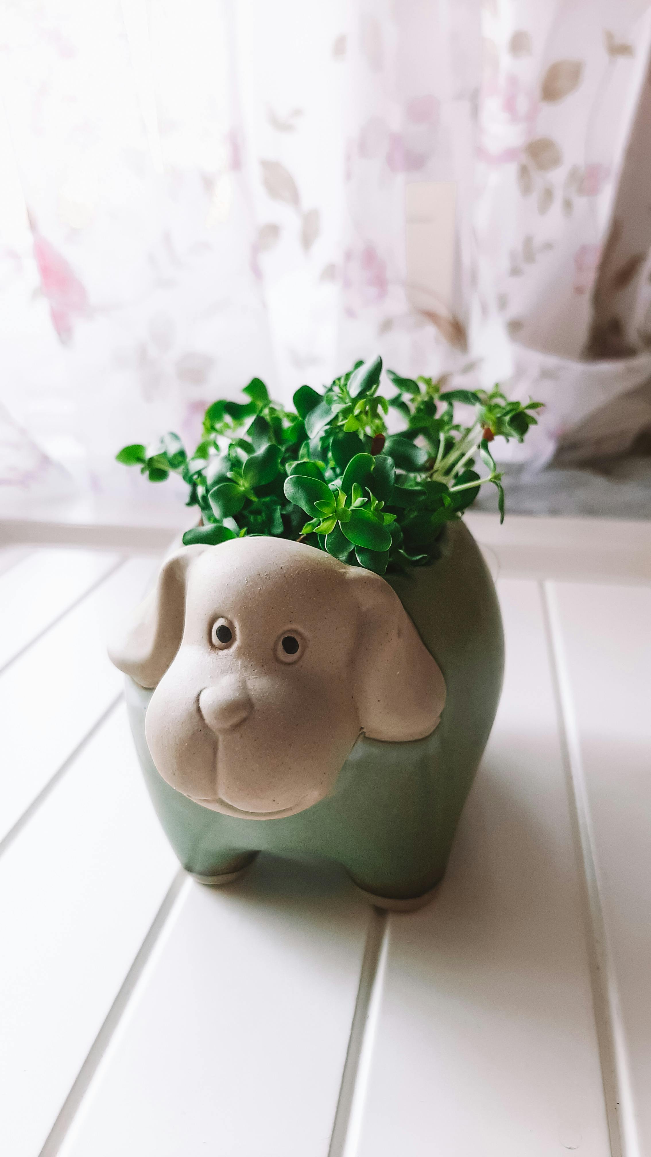 Home Decoration