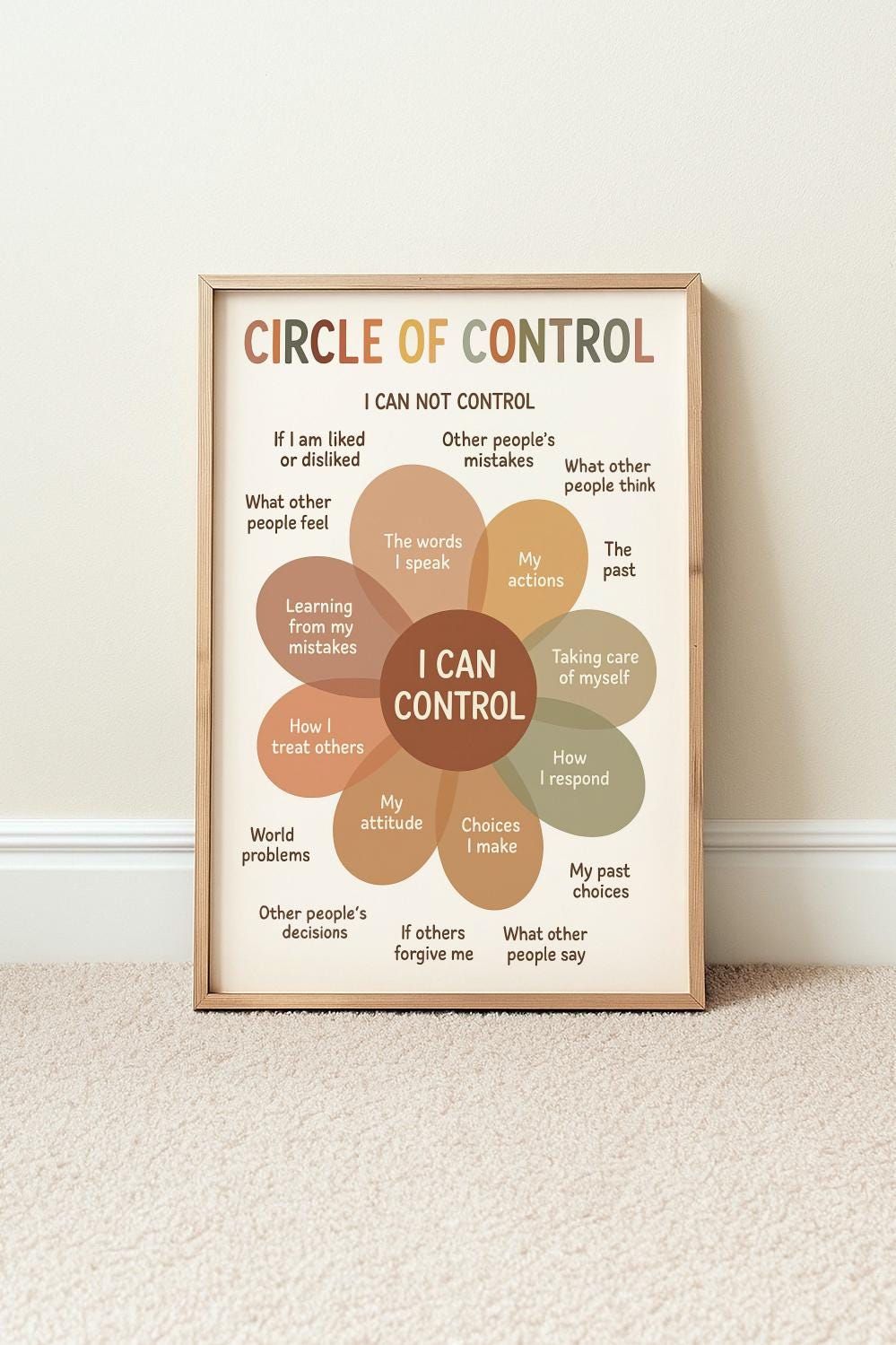 Circle of Control Educational Poster