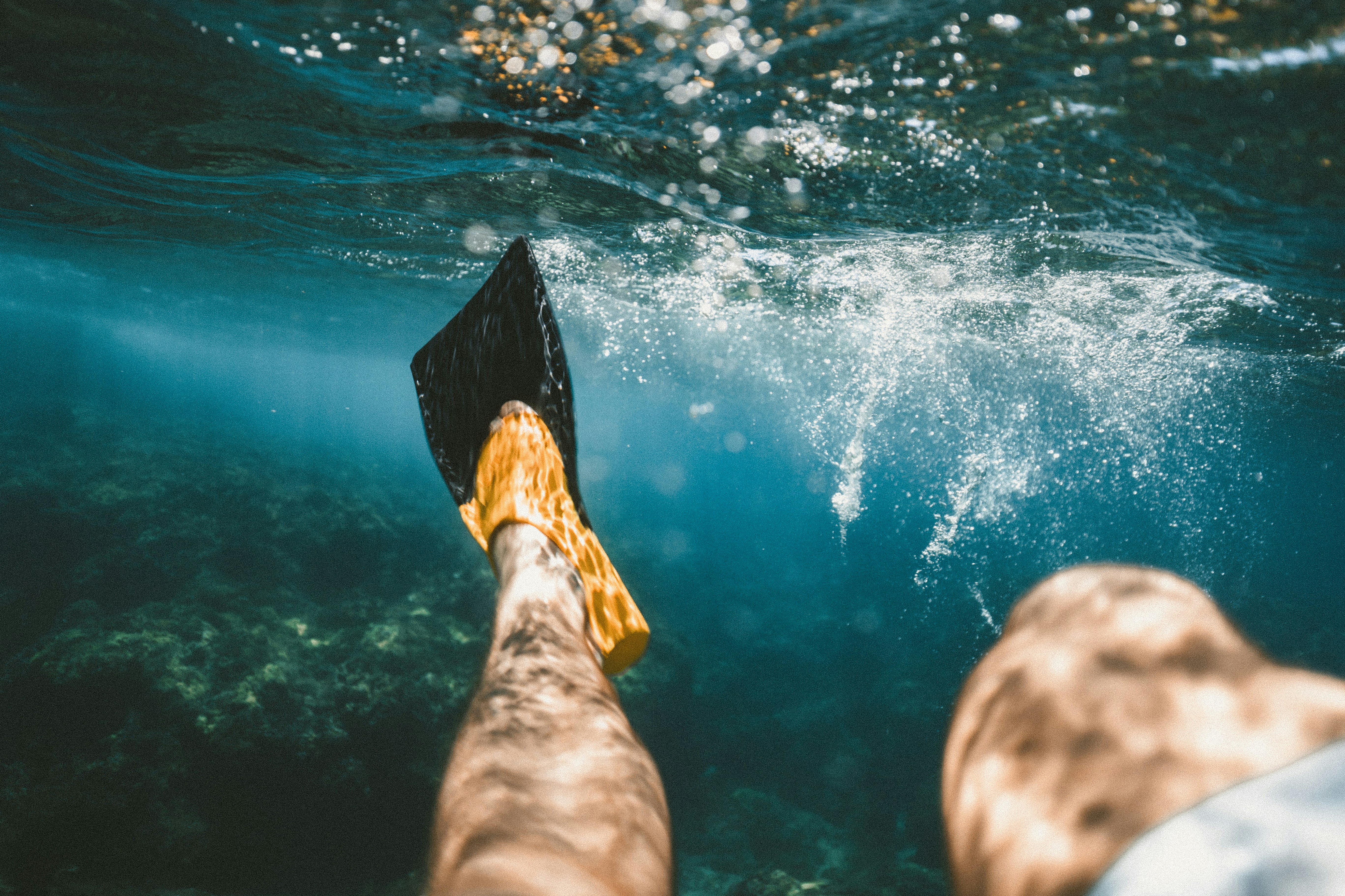 First Person Underwater Snorkeling View