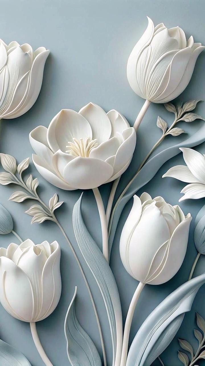 Wallpapers