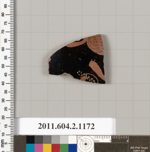 Ancient Ceramic Pottery Fragment