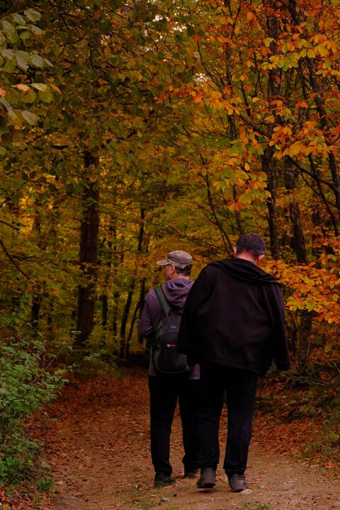 Two Hikers Walking in Autumn Forest