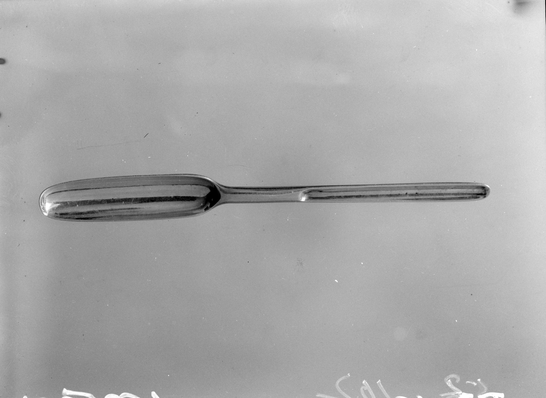 Metal Laboratory Sample Spoon