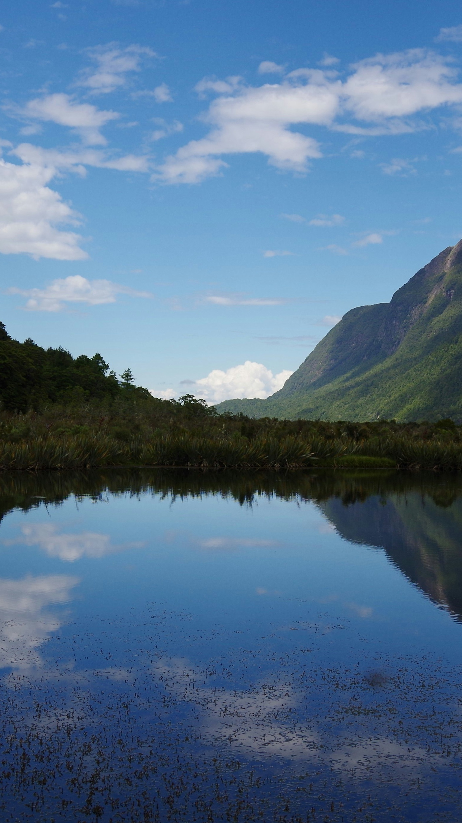 Landscapes
