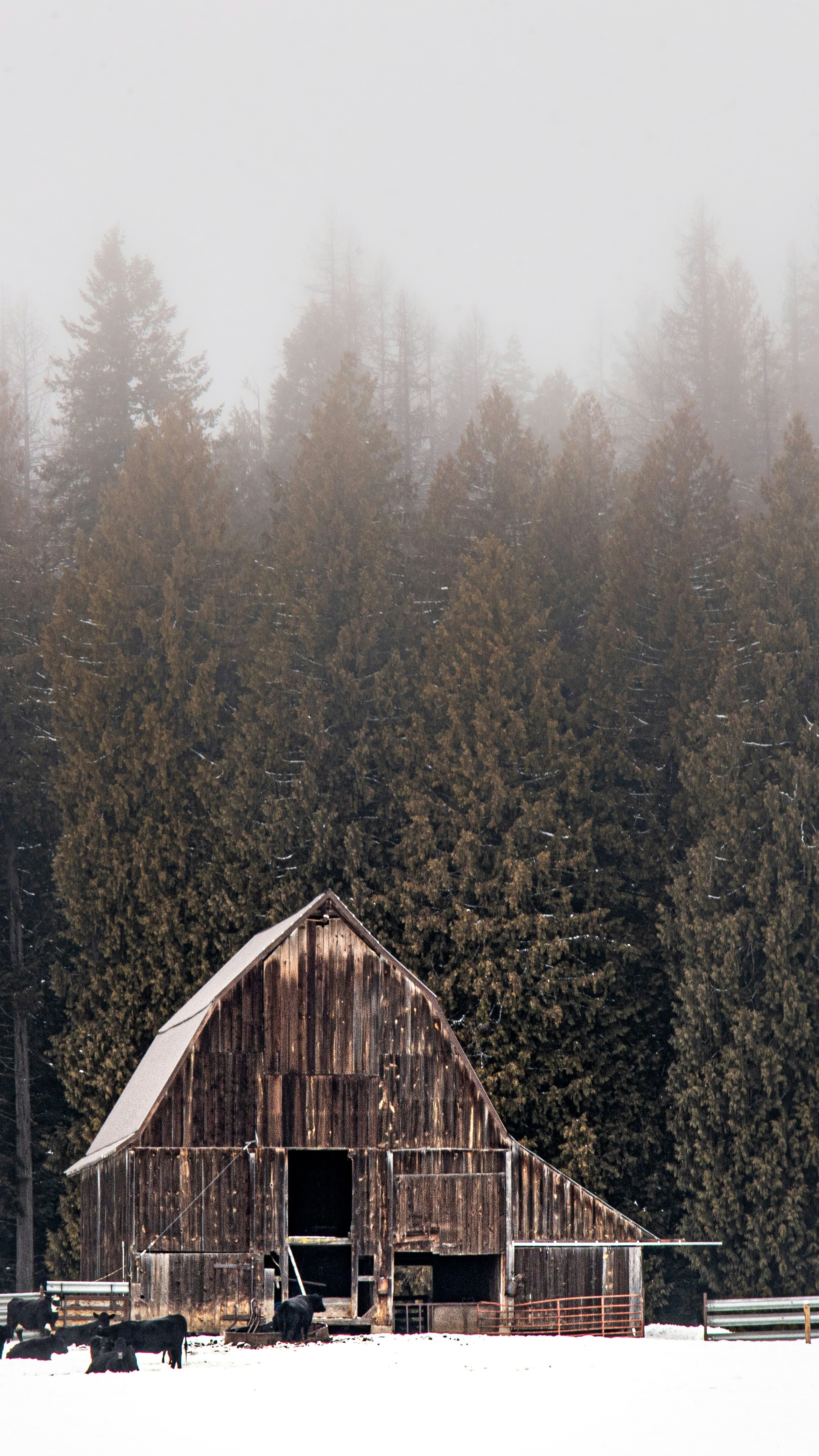 Wallpapers
