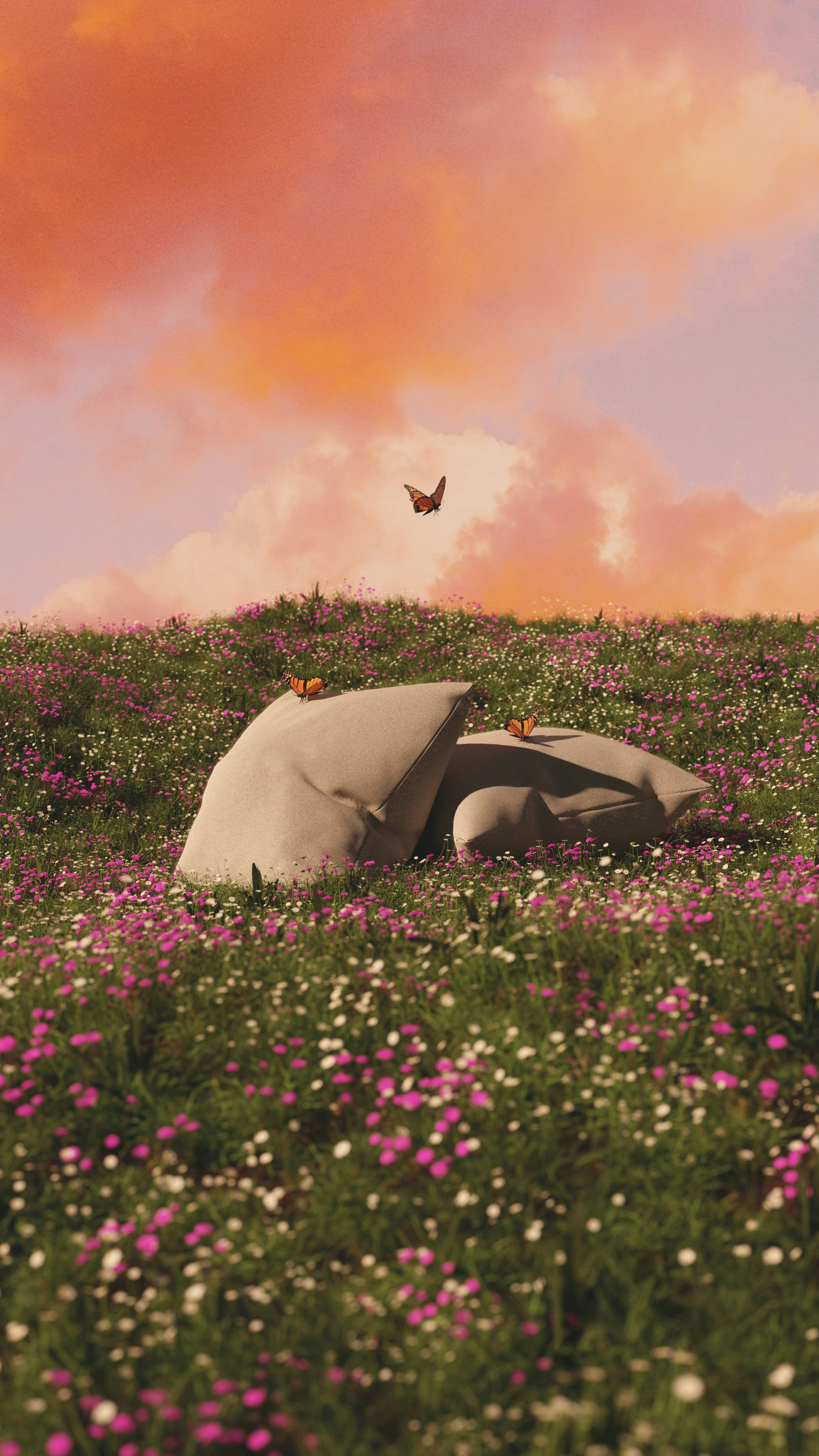 Wallpapers