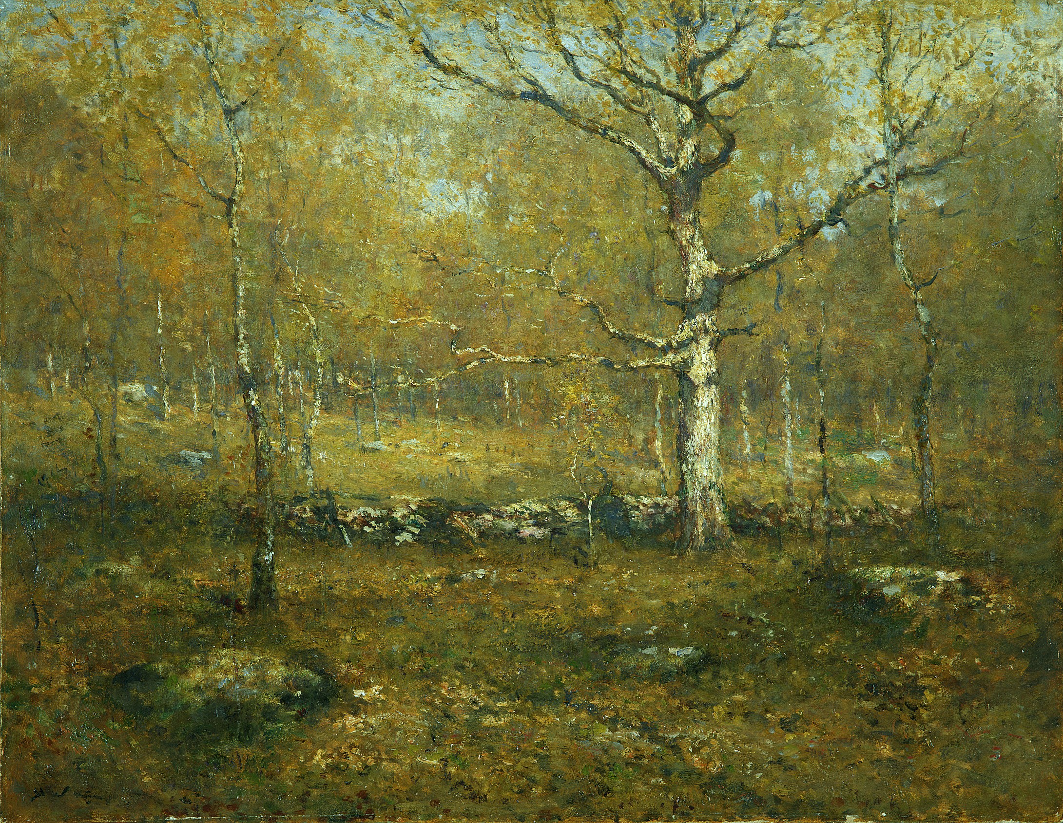 Autumn Forest Landscape Painting