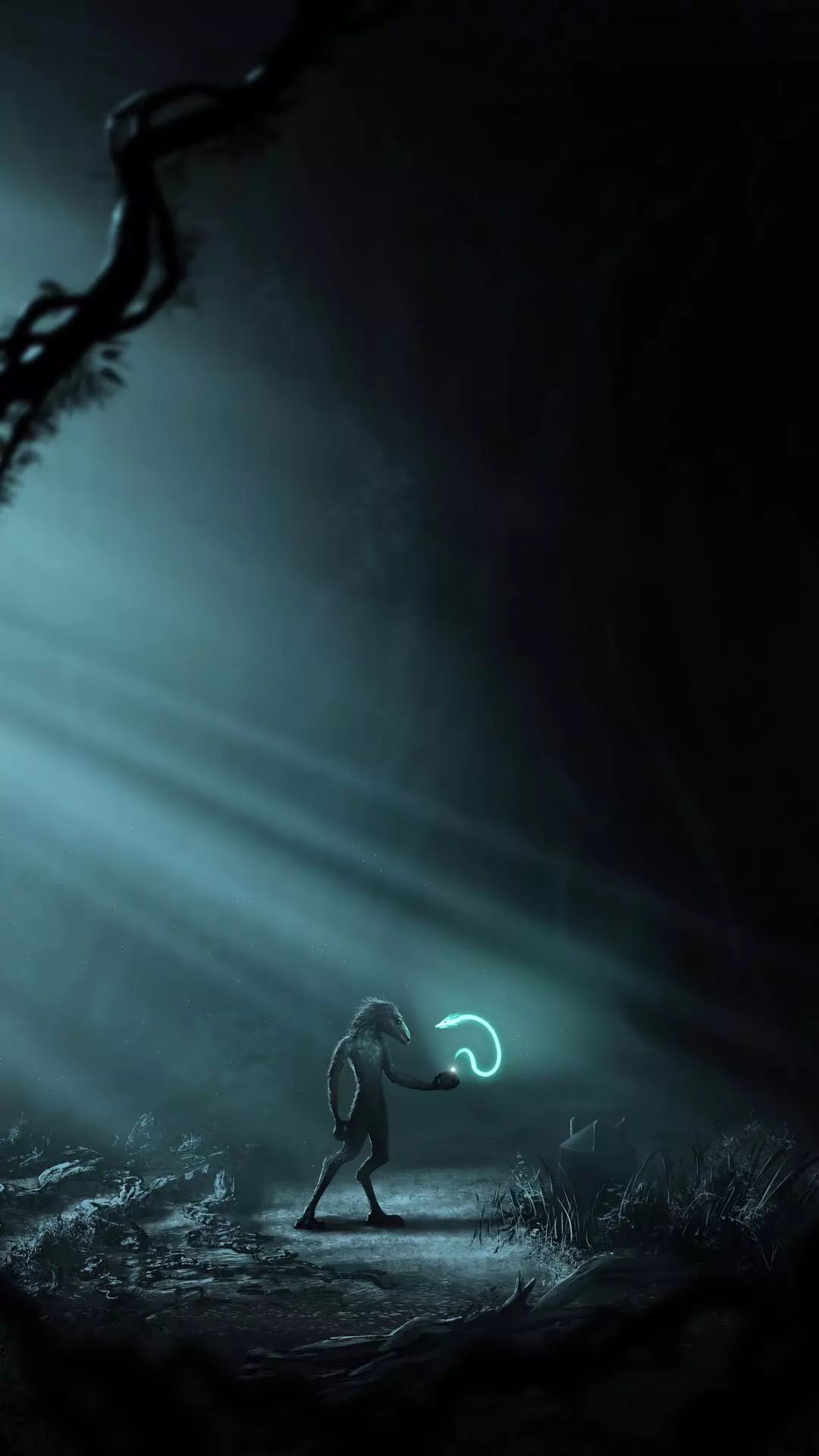 Wallpapers