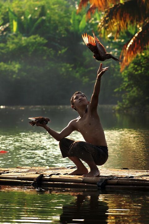 Boy Releasing Birds on Bamboo Raft