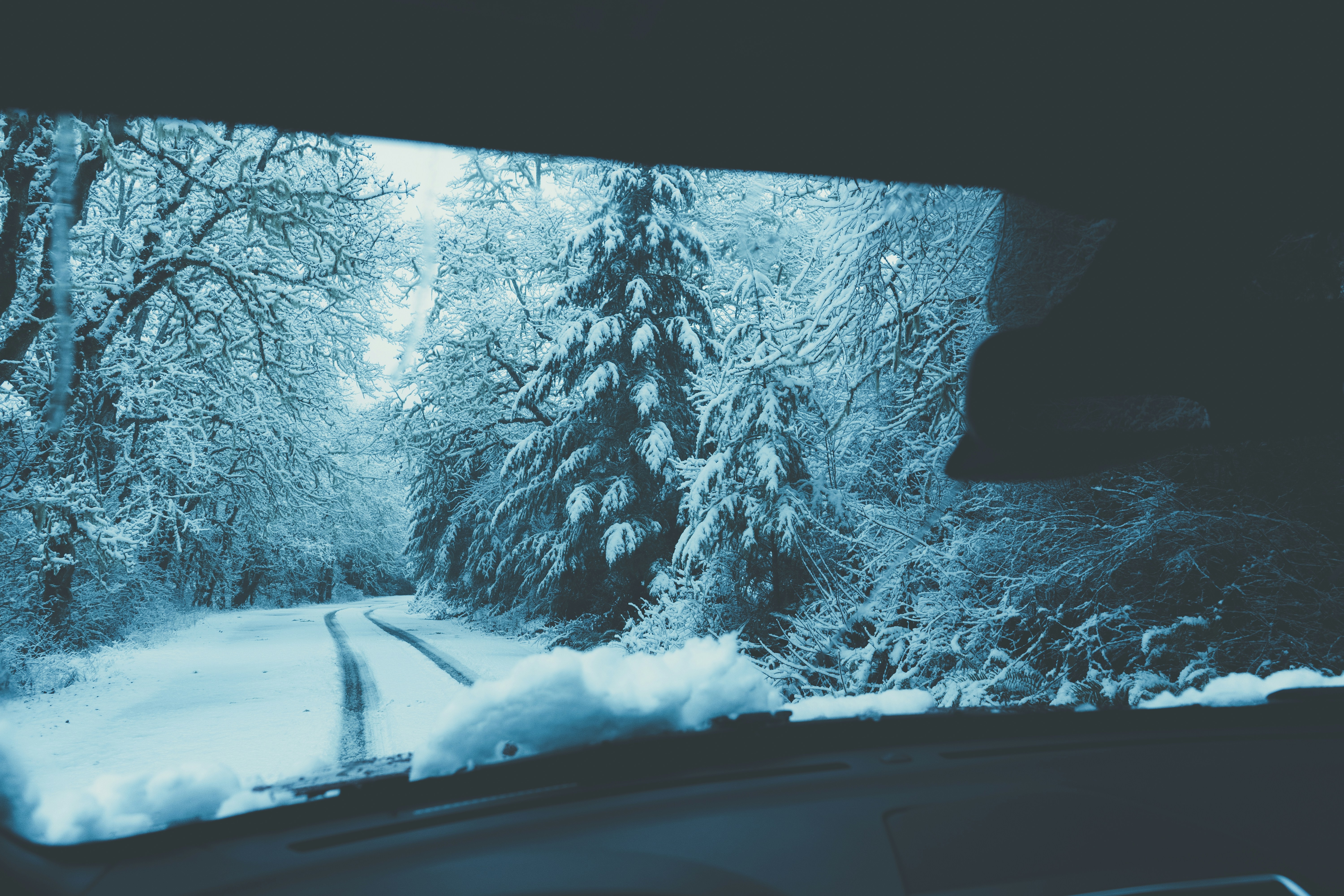 View of Snowy Forest Road From Car