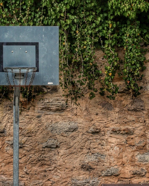 Basketball Hoop by Ivy Stone Wall
