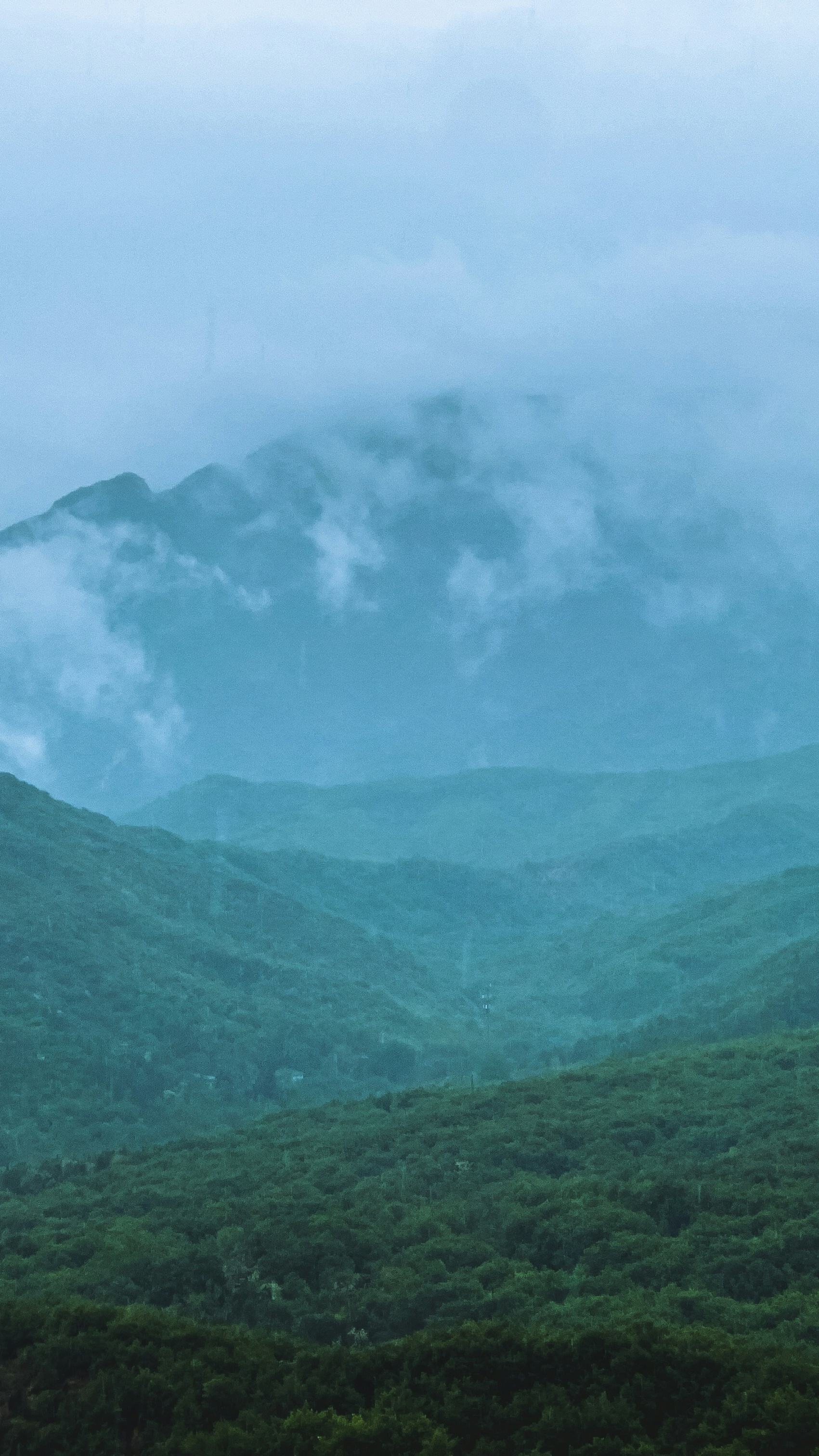 Landscapes