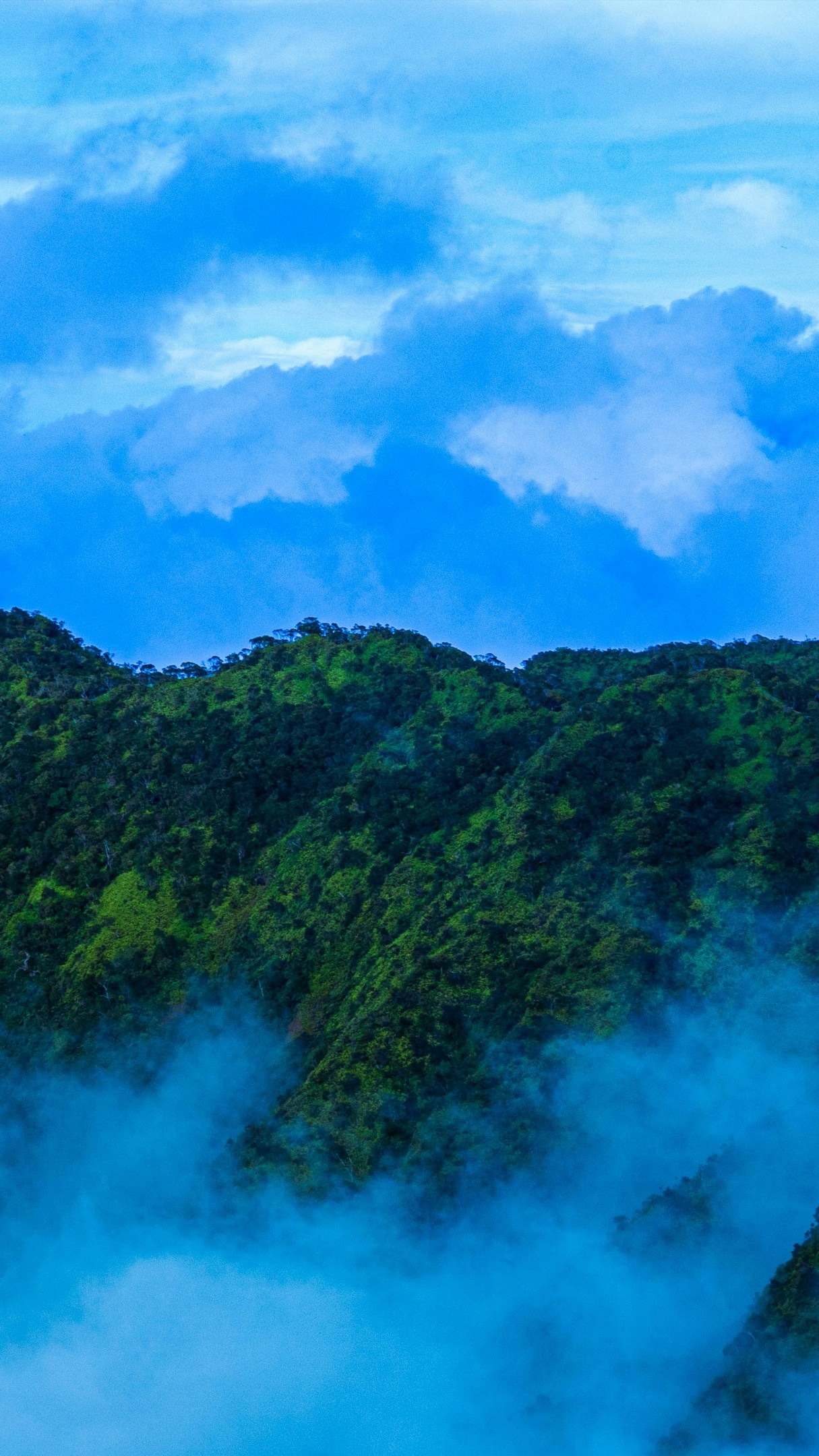 Landscapes
