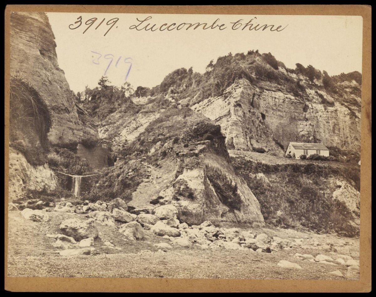 Luccombe Chine Coastal Cliffs