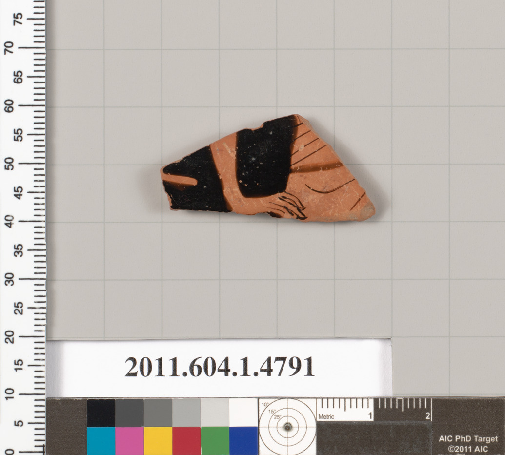 Ancient Pottery Fragment Specimen