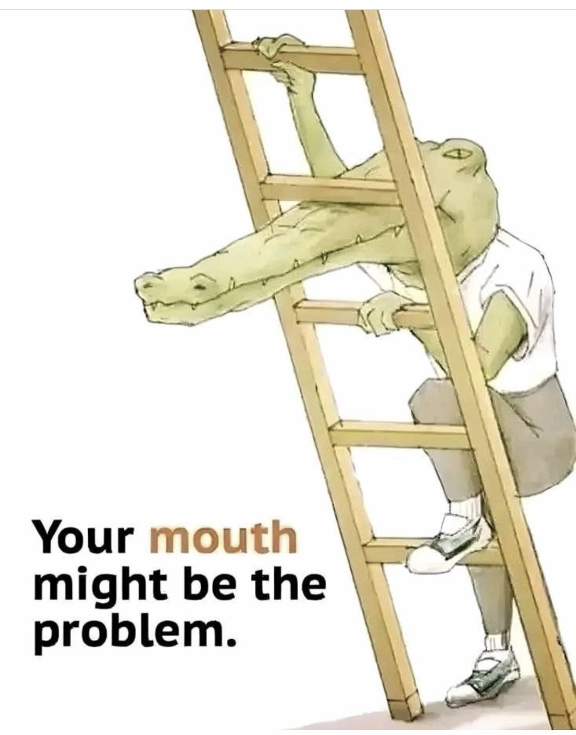 Crocodile Mouth Problem Meme