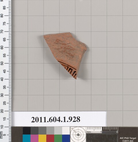 Ancient Pottery Shard Specimen