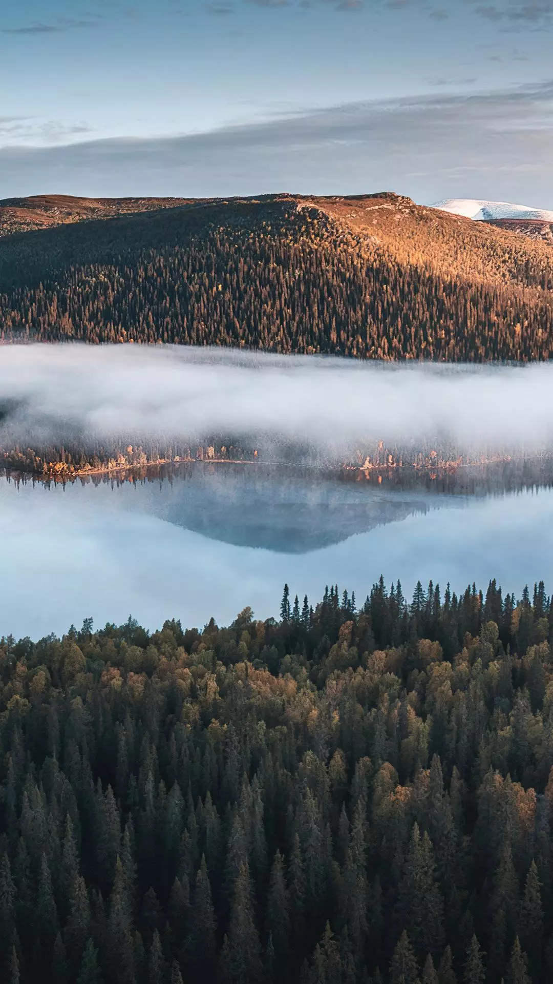 Landscapes