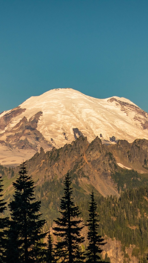 Snow-Capped Mount Rainier