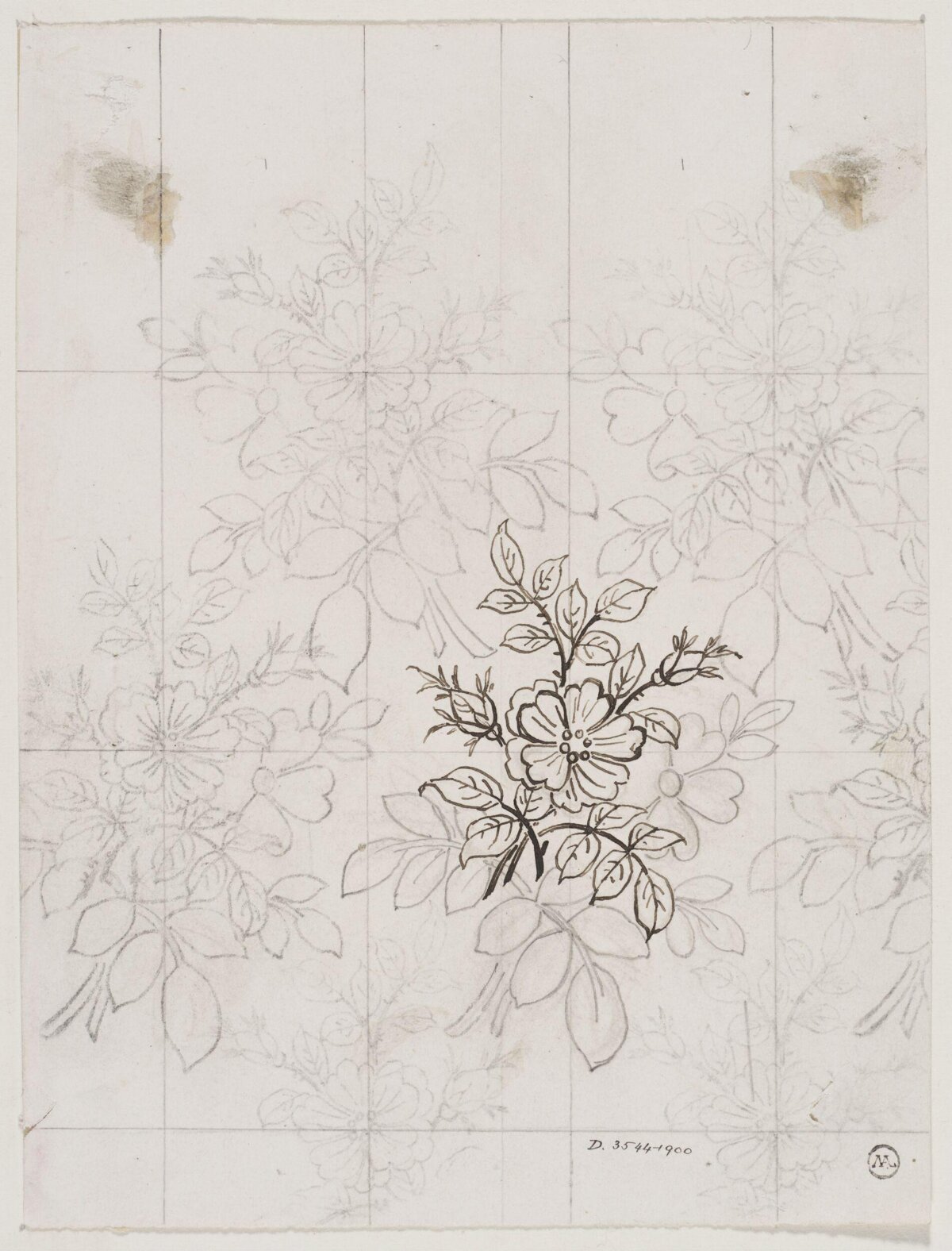Wild Rose Pattern Design Sketch