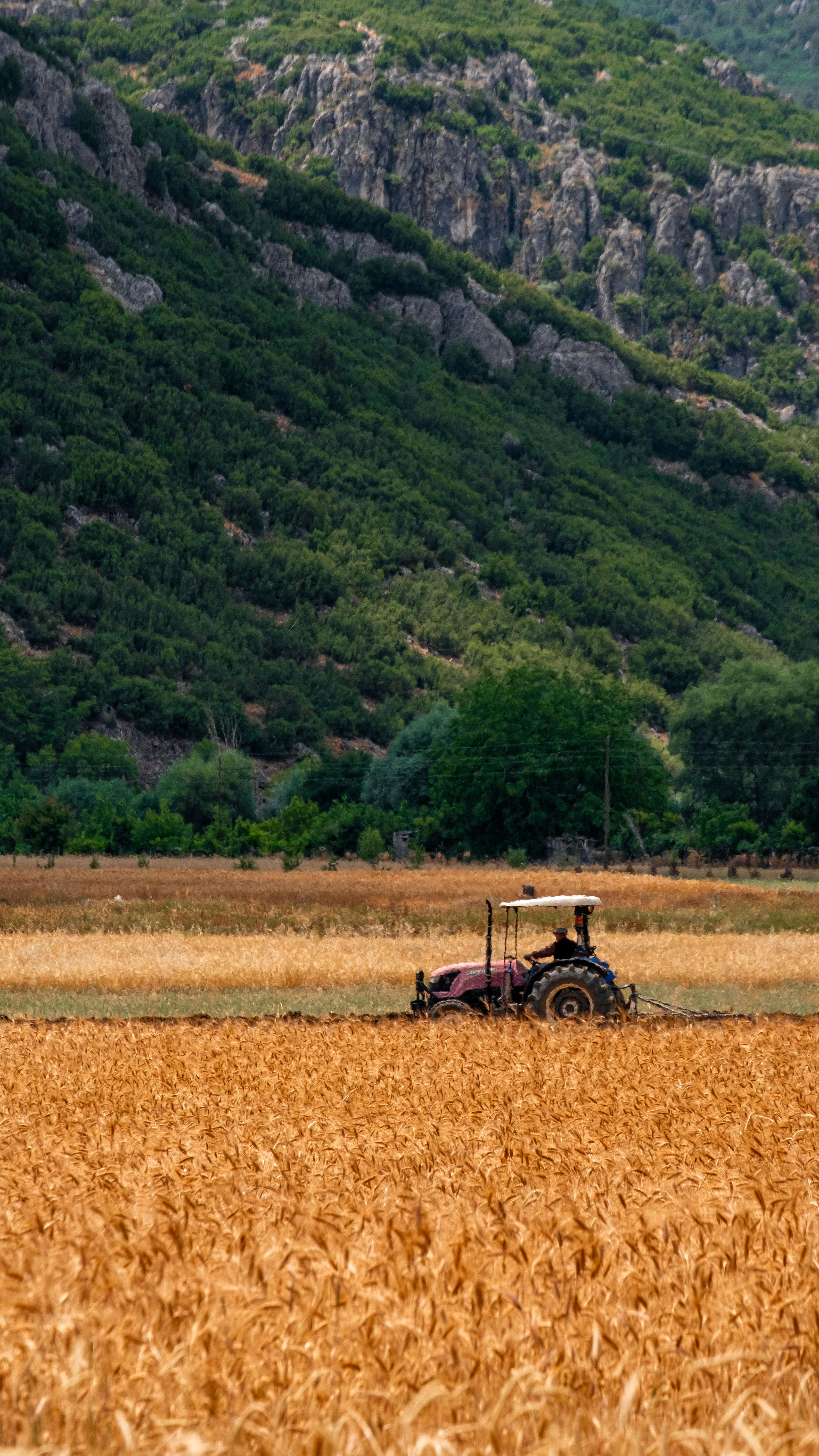 Tractor Working in Golden Farm Field