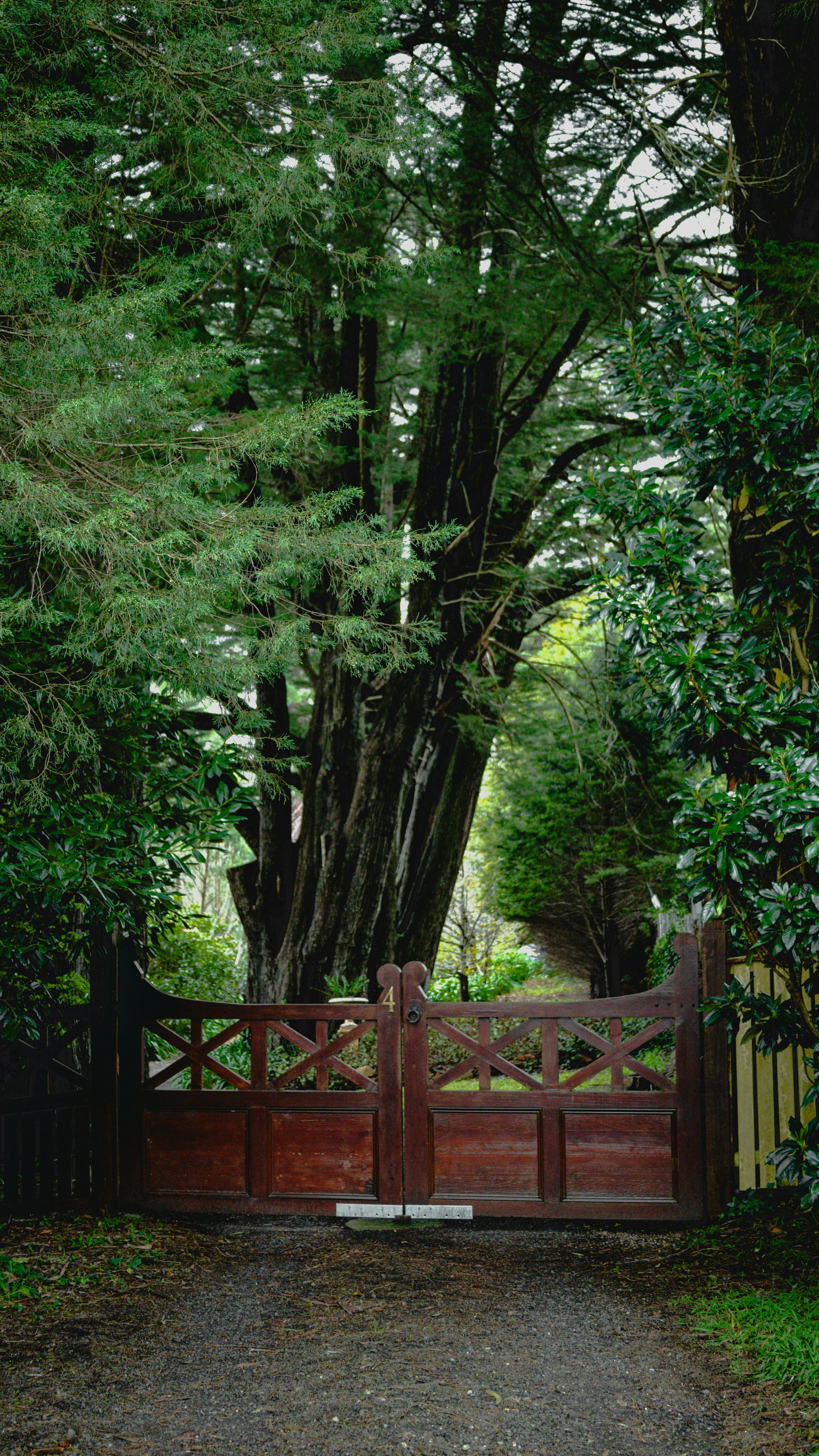 Closed Wooden Gate at Tree-Lined Entrance