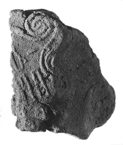 Ancient Imprint Fossil on Rock